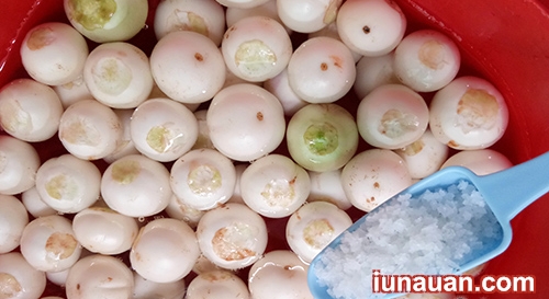 Ảnh minh họa 3 - Cách muối cà pháo vừa giòn vừa ngon không hề khó !