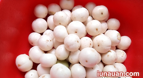 Ảnh minh họa 4 - Cách muối cà pháo vừa giòn vừa ngon không hề khó !