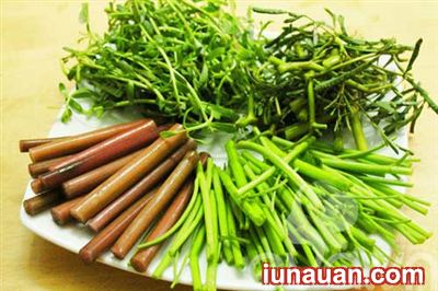 Ảnh minh họa 8 - Cách làm món lẩu mắm đậm đà, giản dị ngon tuyệt, khó cưỡng !