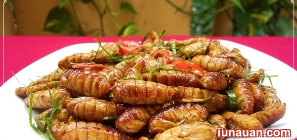 Ảnh minh họa 2 - Cách làm món nhộng tằm rang lá chanh - một phần ký ức tuổi thơ !