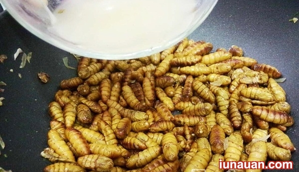 Ảnh minh họa 7 - Cách làm món nhộng tằm rang lá chanh - một phần ký ức tuổi thơ !