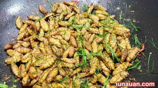 Ảnh minh họa 9 - Cách làm món nhộng tằm rang lá chanh - một phần ký ức tuổi thơ !