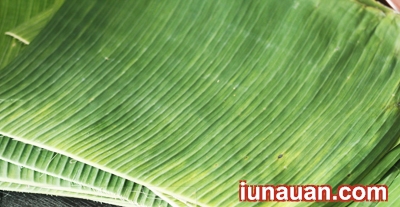 Ảnh minh họa 6 - Tự làm chả lụa chay cực đơn giản cho ngày rằm !