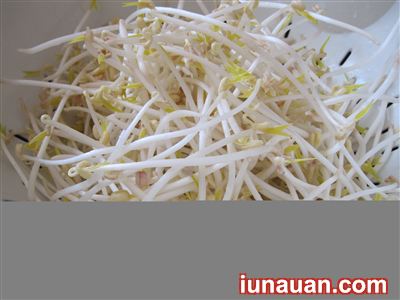 Ảnh minh họa 4 - Hướng dẫn cách làm thịt bò xào giá đỗ đơn giản, ngon cơm !