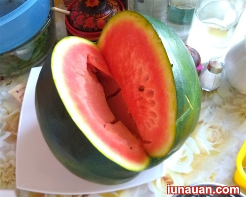 Ảnh minh họa 3 - Cách đơn giản nhận biết dưa hấu bị nhiễm độc cần tránh !