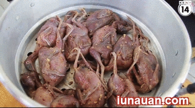 Ảnh minh họa 3 - Tan chảy với món chim cút chiên bơ ngon không thể cưỡng !