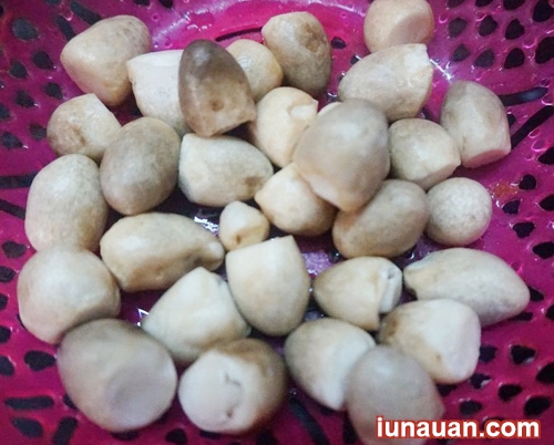 Ảnh minh họa 7 - Đưa cơm với món thịt kho nấm rơm vừa ngon vừa ngậy !