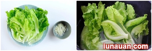 Ảnh minh họa 3 - Nhẹ nhàng dễ ăn với cách làm món rau diếp sốt dầu hào siêu đơn giản