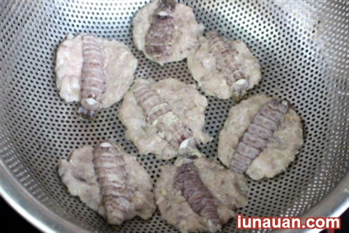 Ảnh minh họa 4 - Hướng dẫn cách làm món chả bề bề ngon không cưỡng nổi !