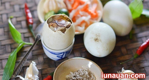 Ảnh minh họa 2 - Trứng vịt lộn món ăn ngon bổ rẻ nhưng cũng nhiều tác hại nếu ăn nhiều