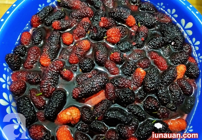 Ảnh minh họa 3 - Tranh thủ mùa dâu tằm chín thơm, làm ngay siro dâu tằm giải nhiệt cho ngày hè sắp tới !