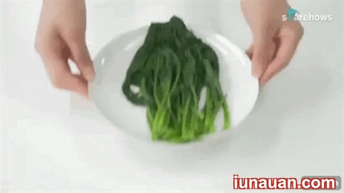 Ảnh minh họa 5 - Chia sẻ mẹo luộc rau bằng lò vi sóng mà vẫn giữ được lượng chất dinh dưỡng có trong rau!