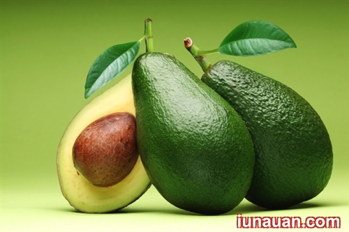 Ảnh minh họa 2 - Cách bảo quản bơ tươi ngon trong nhiều tháng không sợ bị hỏng !