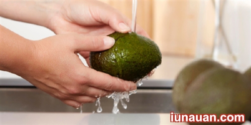 Ảnh minh họa 3 - Cách bảo quản bơ tươi ngon trong nhiều tháng không sợ bị hỏng !