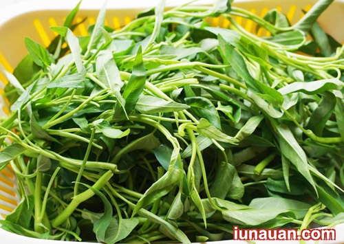 Ảnh minh họa 3 - Mát trời đổi vị cho cả nhà với món rau muống xào thịt bò cực đưa cơm !