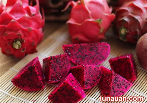 Ảnh minh họa 12 - Những cách làm món sinh tố thanh long chuẩn ngon đúng điệu !